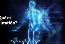 ¿Qué es Glutatión?